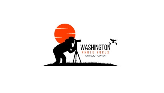 Washington Photo Focus